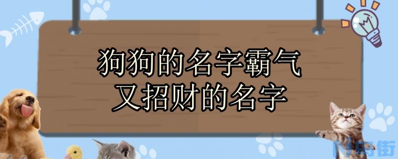 狗狗的名字霸气又招财的名字？