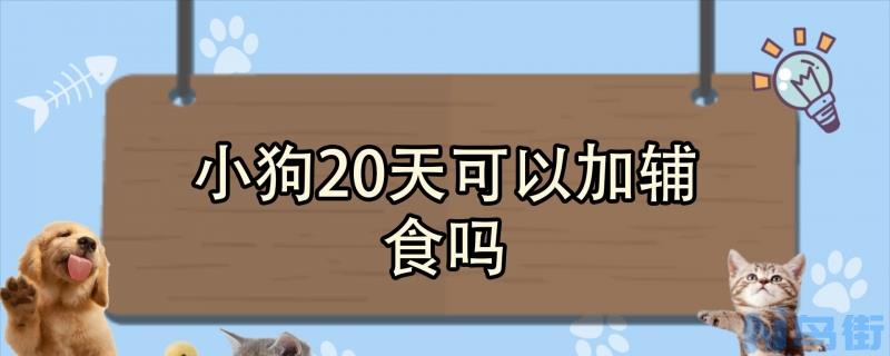 小狗20天可以加辅食吗？