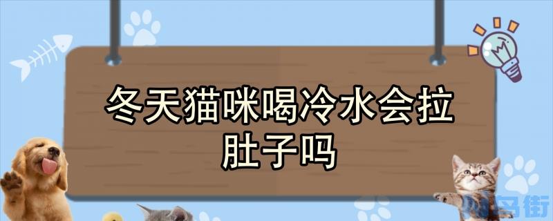 冬天猫咪喝冷水会拉肚子吗？