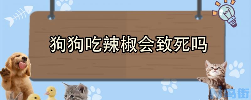 狗狗吃辣椒会致死吗？