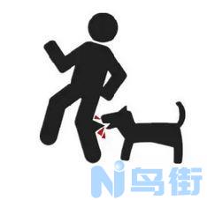 怎么检查狗得了狂犬病？