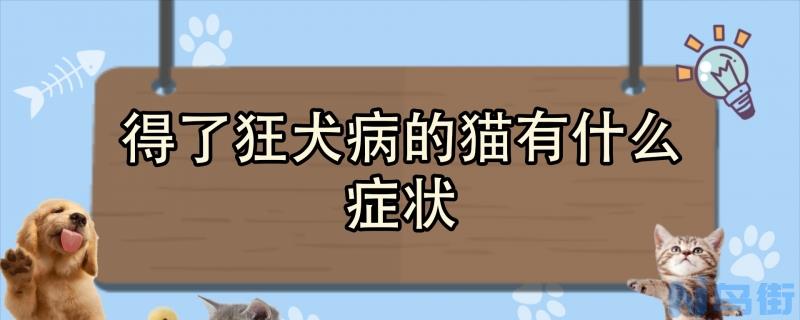 得了狂犬病的猫有什么症状？