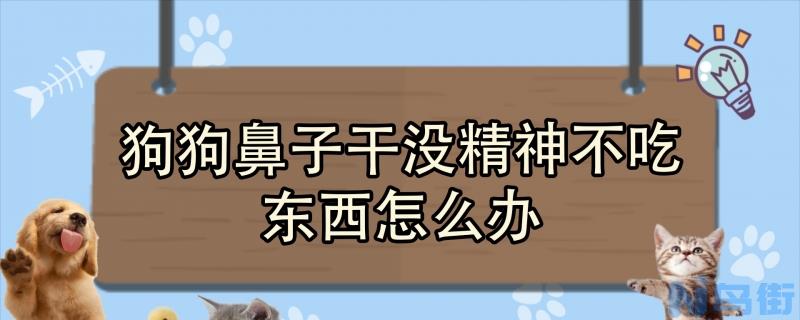 狗狗鼻子干没精神不吃东西怎么办？