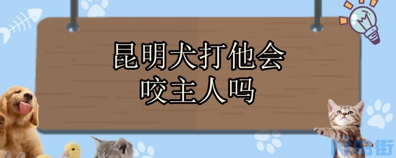 昆明犬打他会咬主人吗？