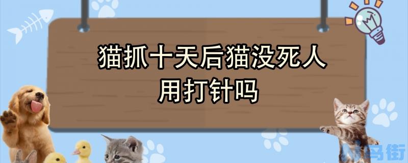 猫抓十天后猫没死人用打针吗？