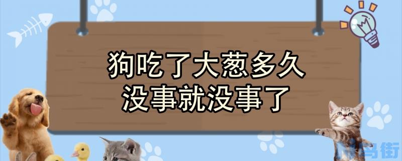 狗吃了大葱多久没事就没事了？