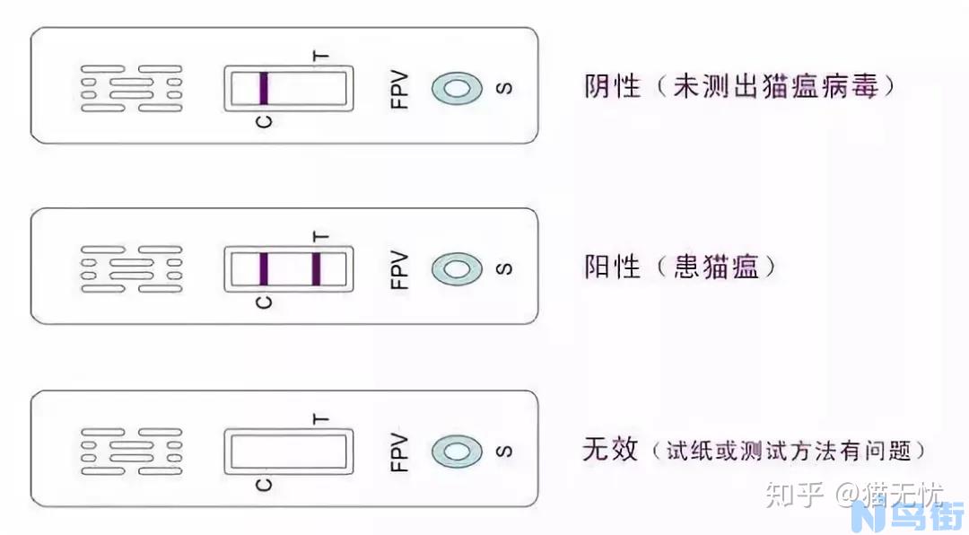 狗轮状病毒性腹泻治疗？