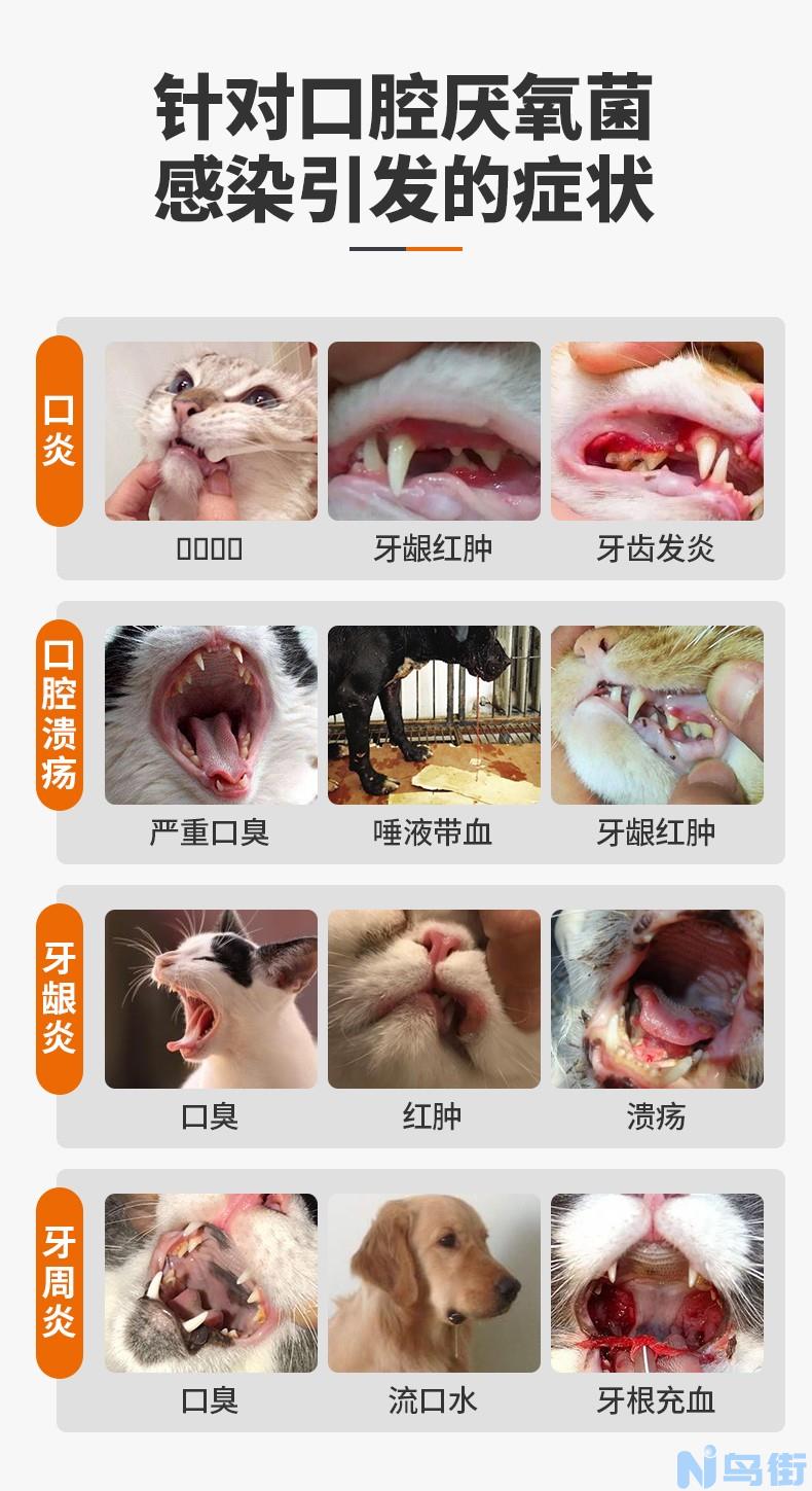 猫口舌炎症状？