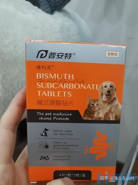 猫肠胃有炎症吃什么药？