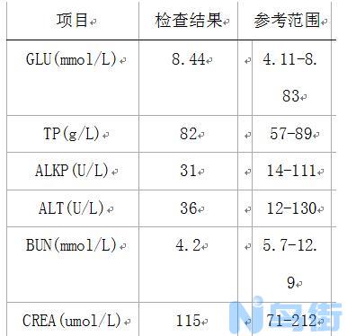 猫得了急性肠炎有什么症状？