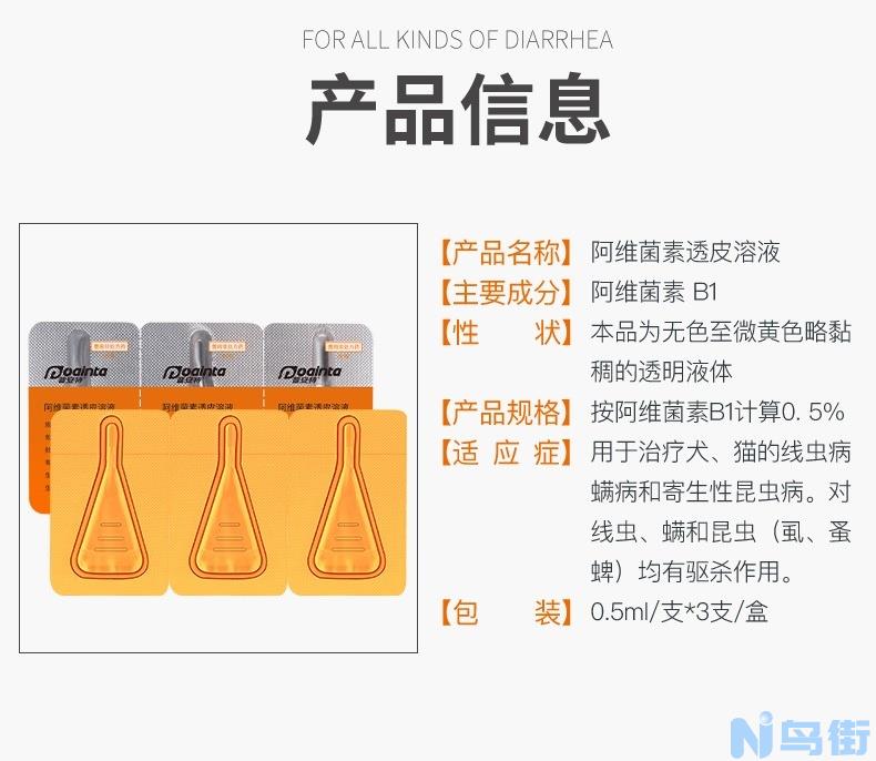 猫大肠炎症状？