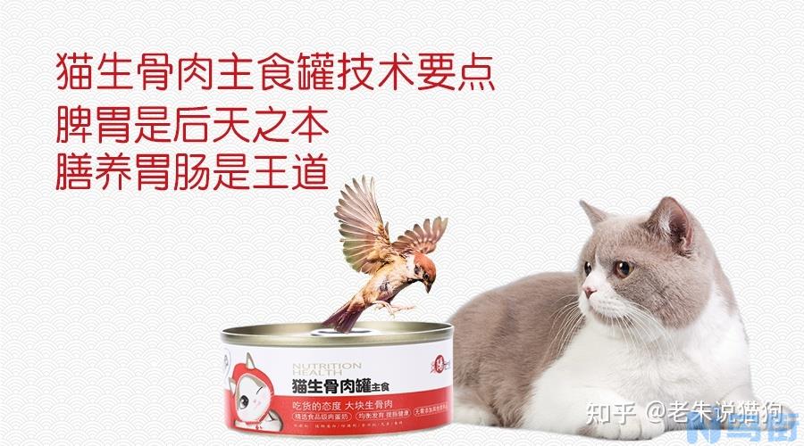 猫下泌尿道综合症病因？