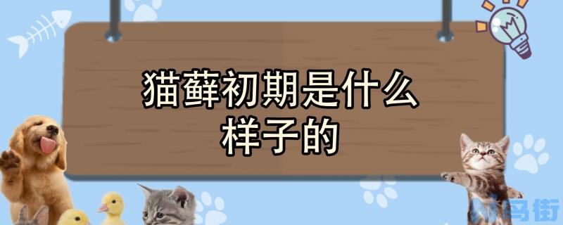 猫藓初期是什么样子的？