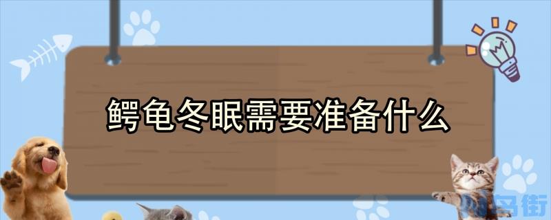 鳄龟冬眠需要准备什么？