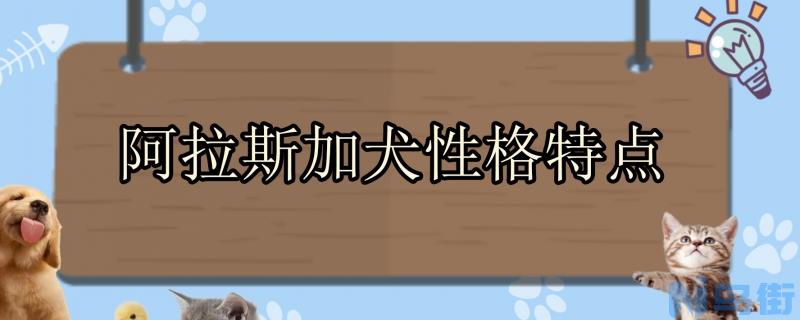 阿拉斯加犬性格特点？