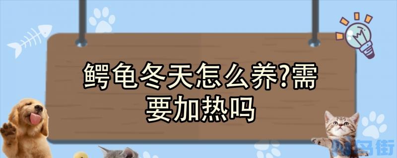 鳄龟冬天怎么养?需要加热吗？