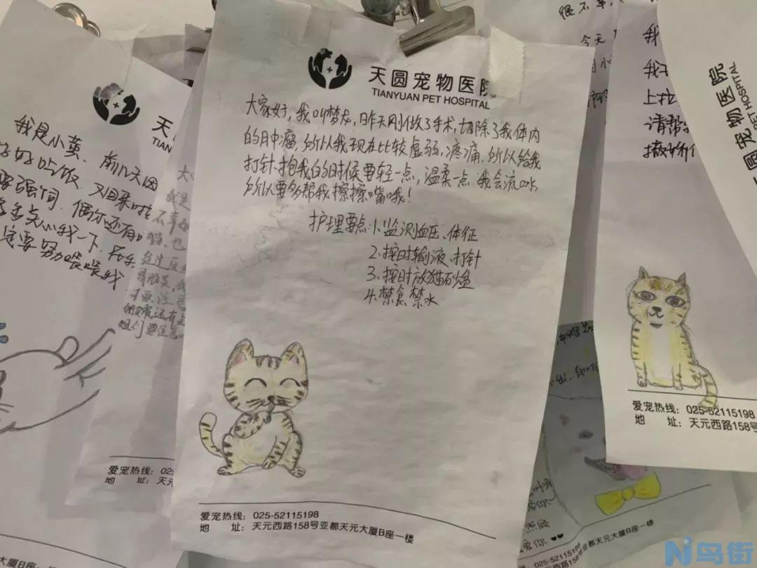 猫胰岛炎症状？