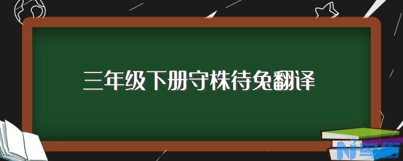 帝王花的繁殖方法介绍