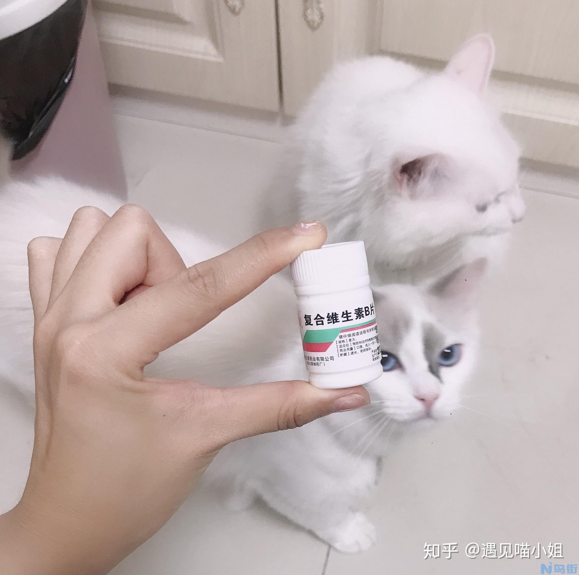 猫癣吃维生素b几？