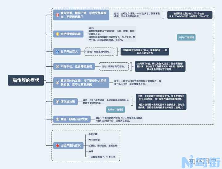 怎么判断是猫传腹？