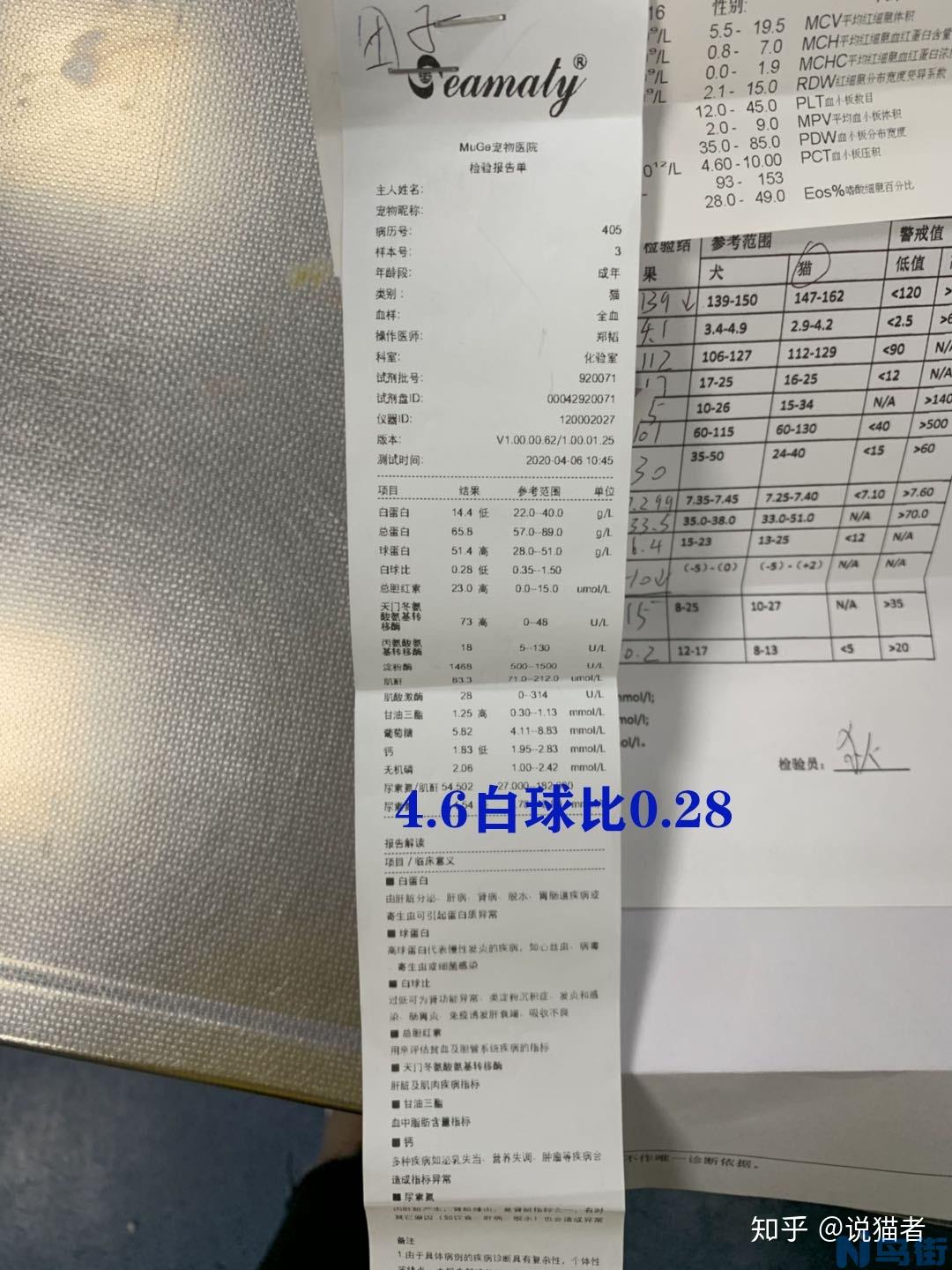 传腹441打多长时间？