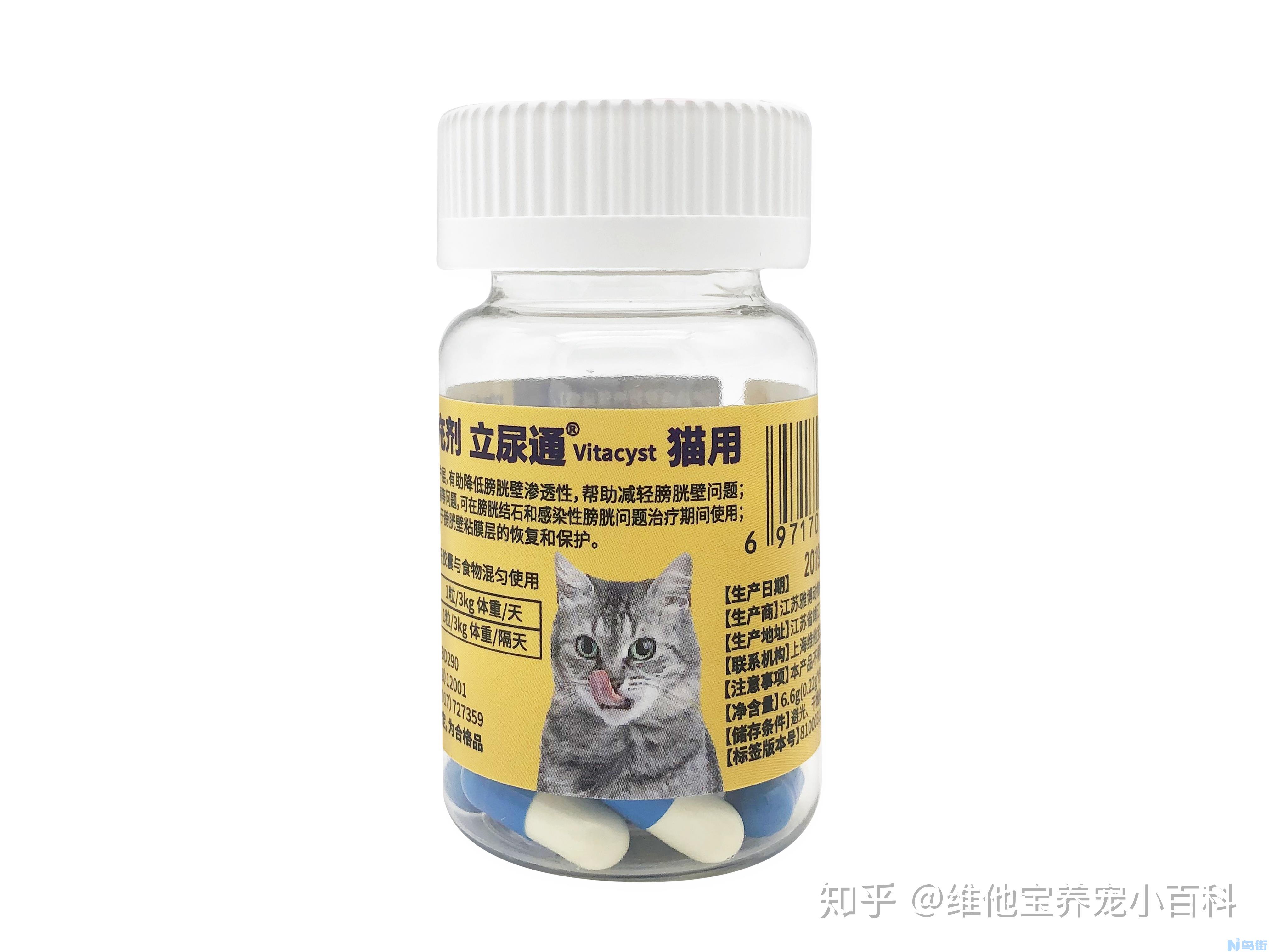 猫得了泌尿道疾病怎么预防？