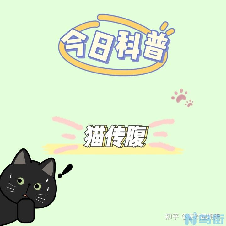 猫传腹没有发烧呢？