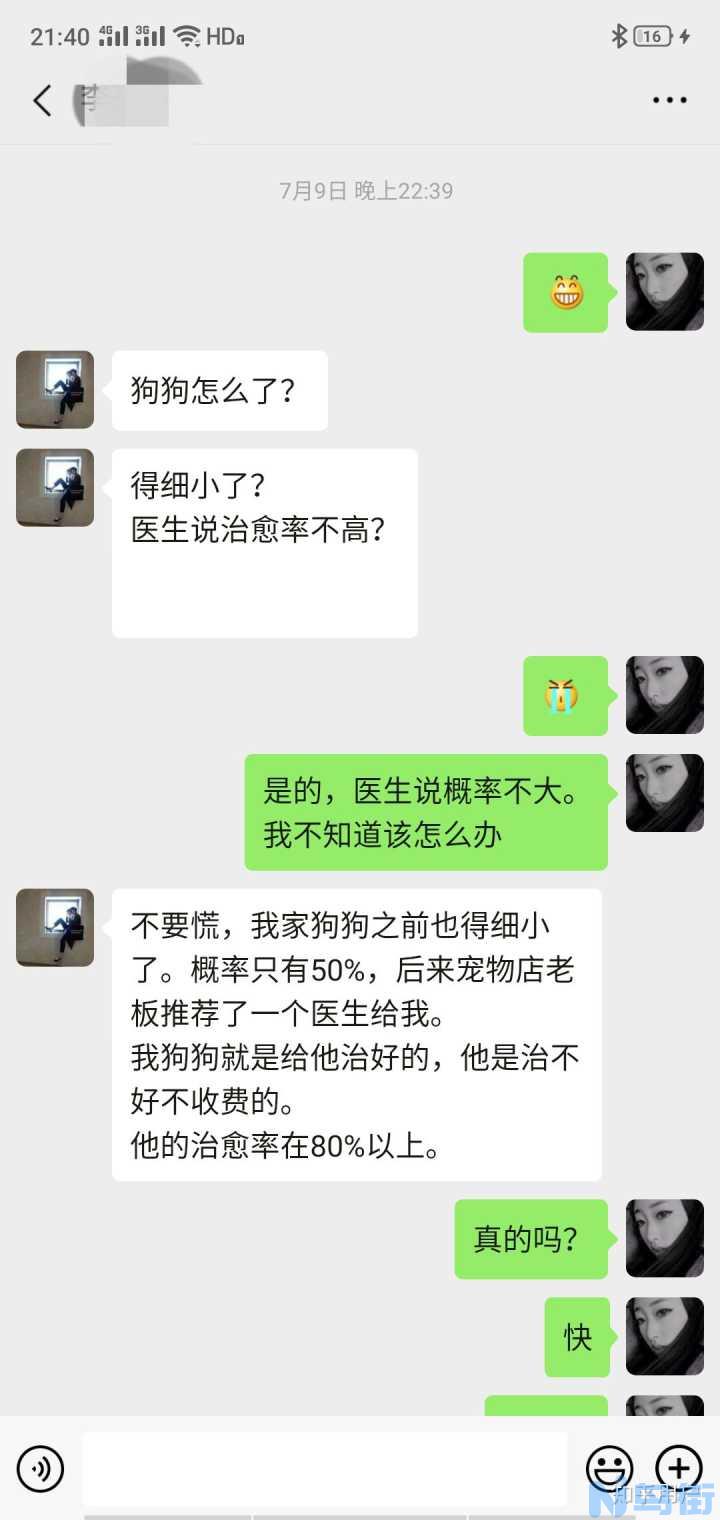 狗狗得了细小怎么治疗？