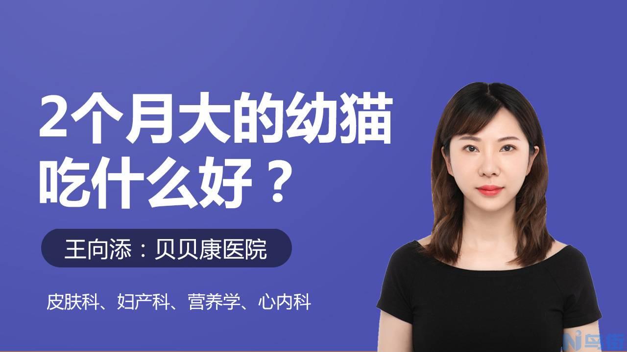 比熊多长时间洗一次澡？