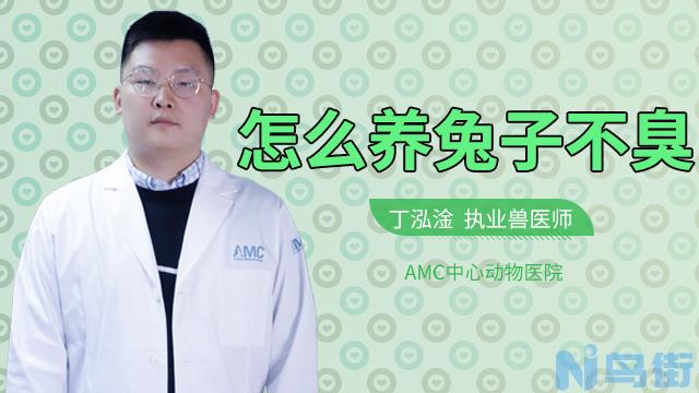 兔子不喝水怎么办？