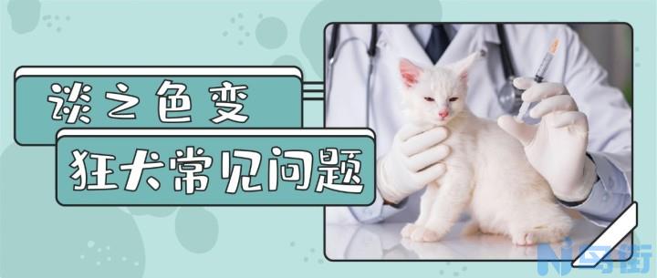 猫打针怎么打？