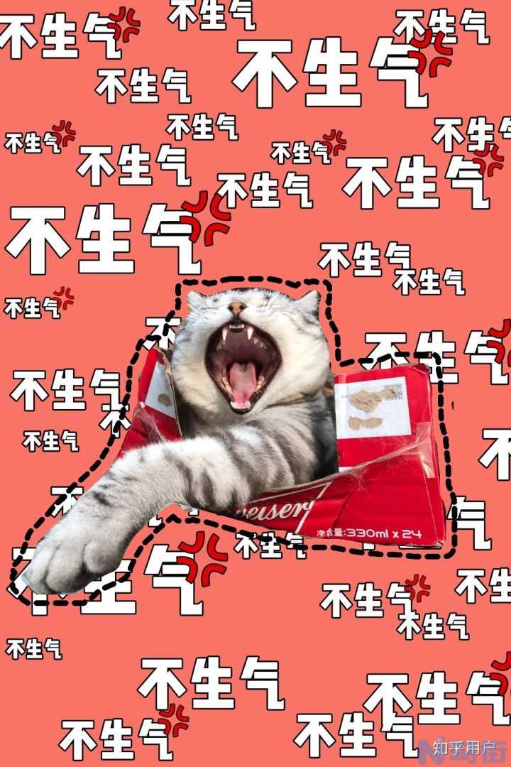 猫一直在猫砂盆里蹲着？