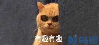 猫咪丢了怎么找回来剪刀？