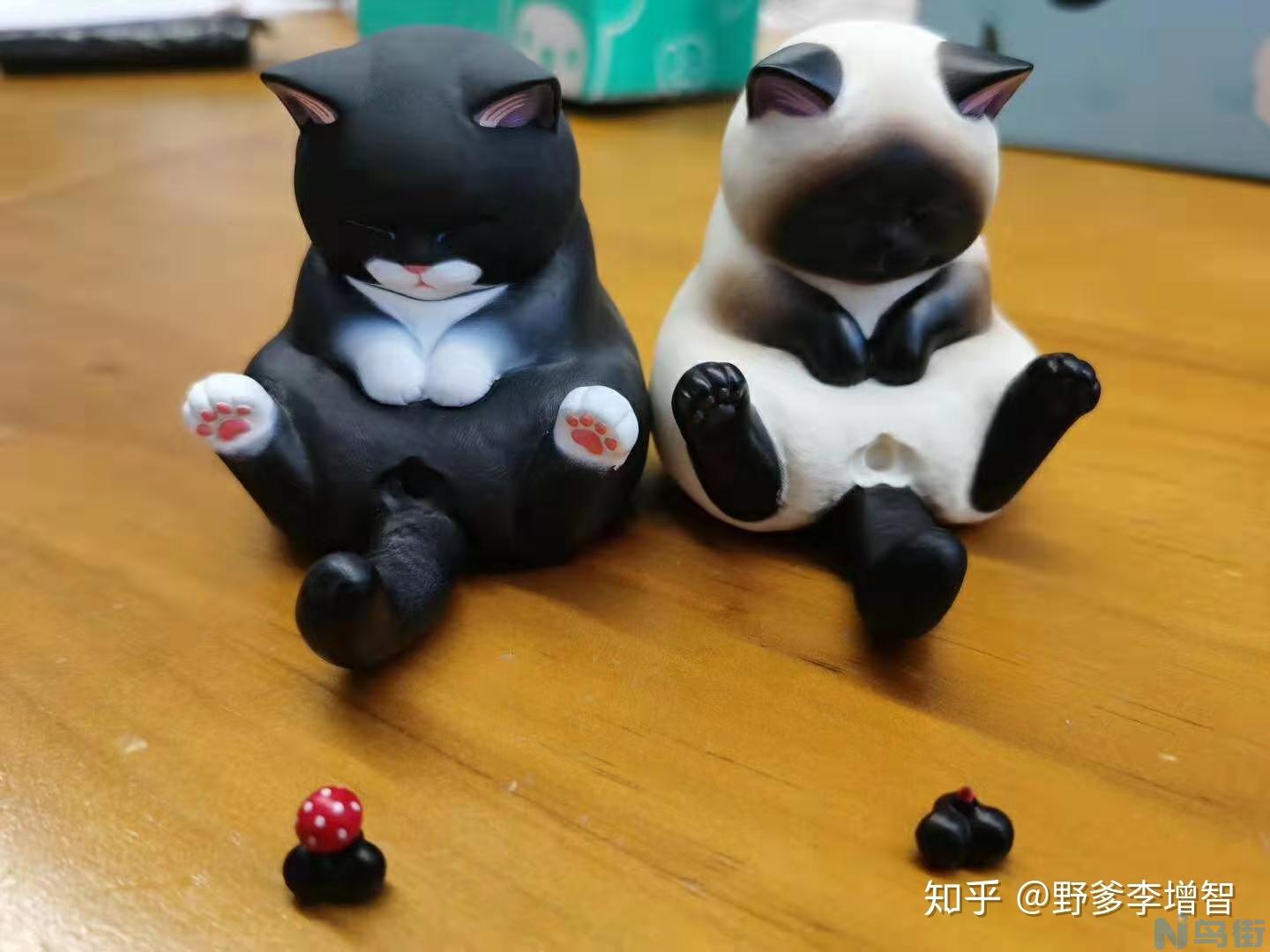 母猫可以不绝育吗？