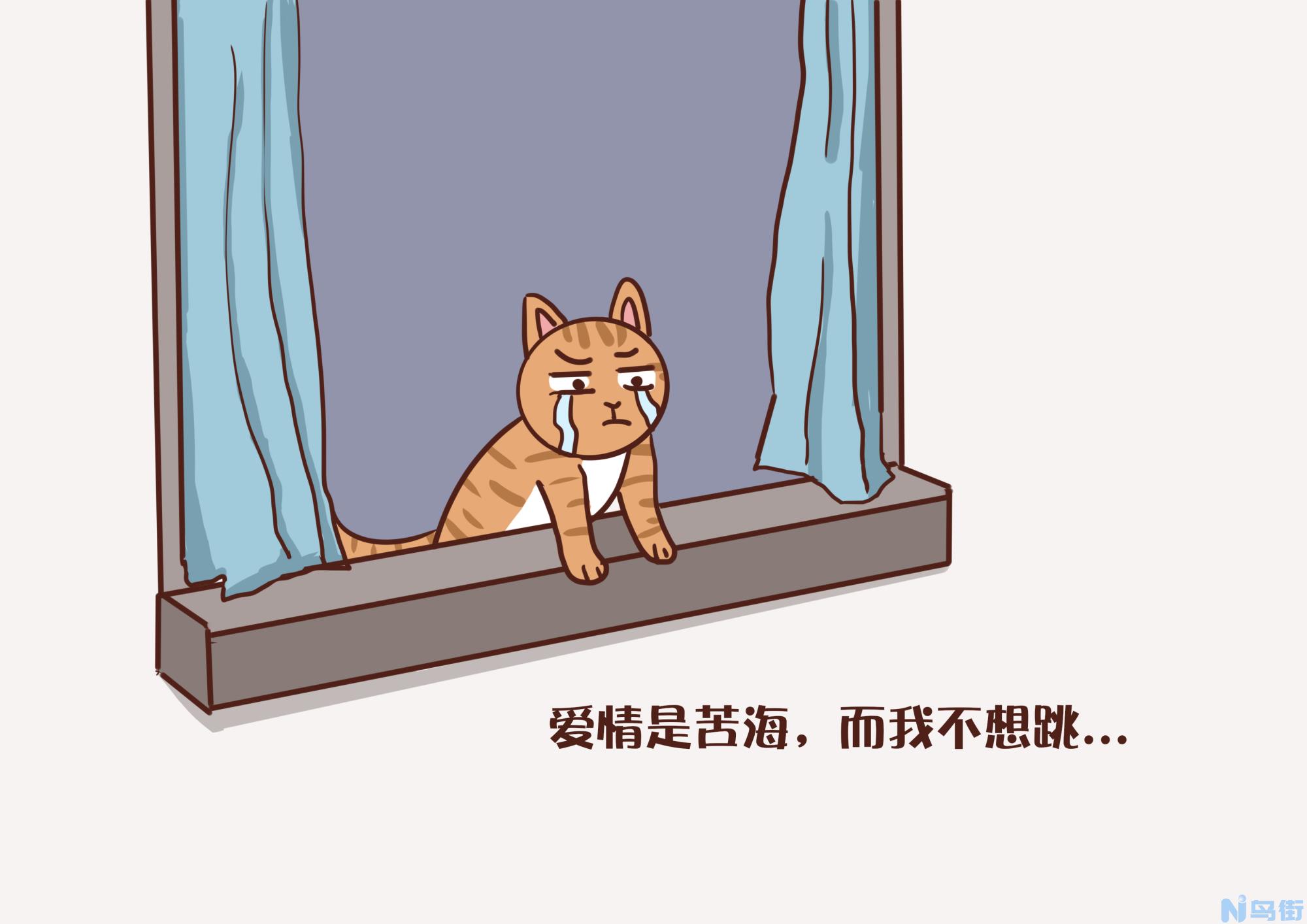 猫绝育后会变胖吗？