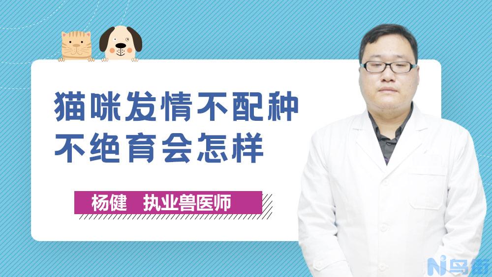 母猫一直不绝育会怎样？