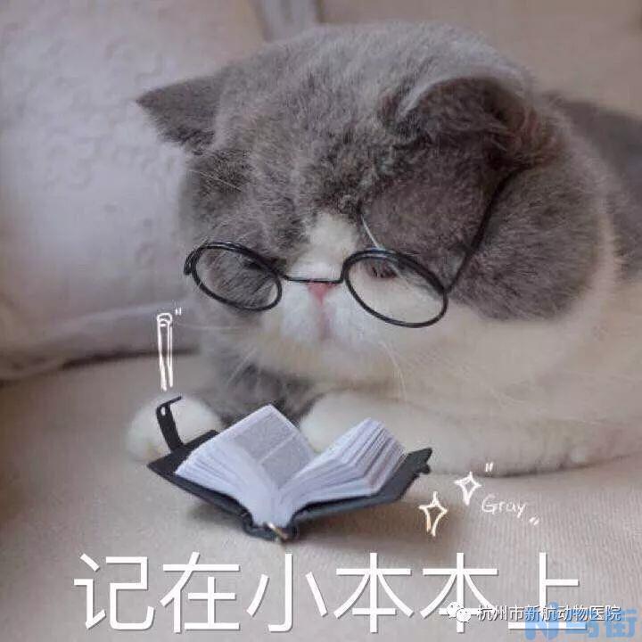 猫感冒吃人的感冒药吗？