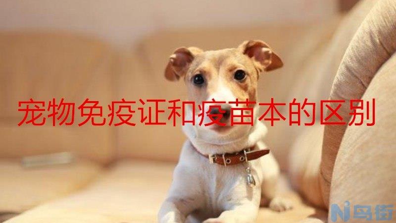 母猫绝育后疼多久？