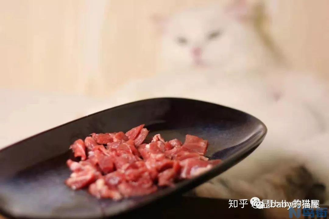 猫怀孕准备什么？