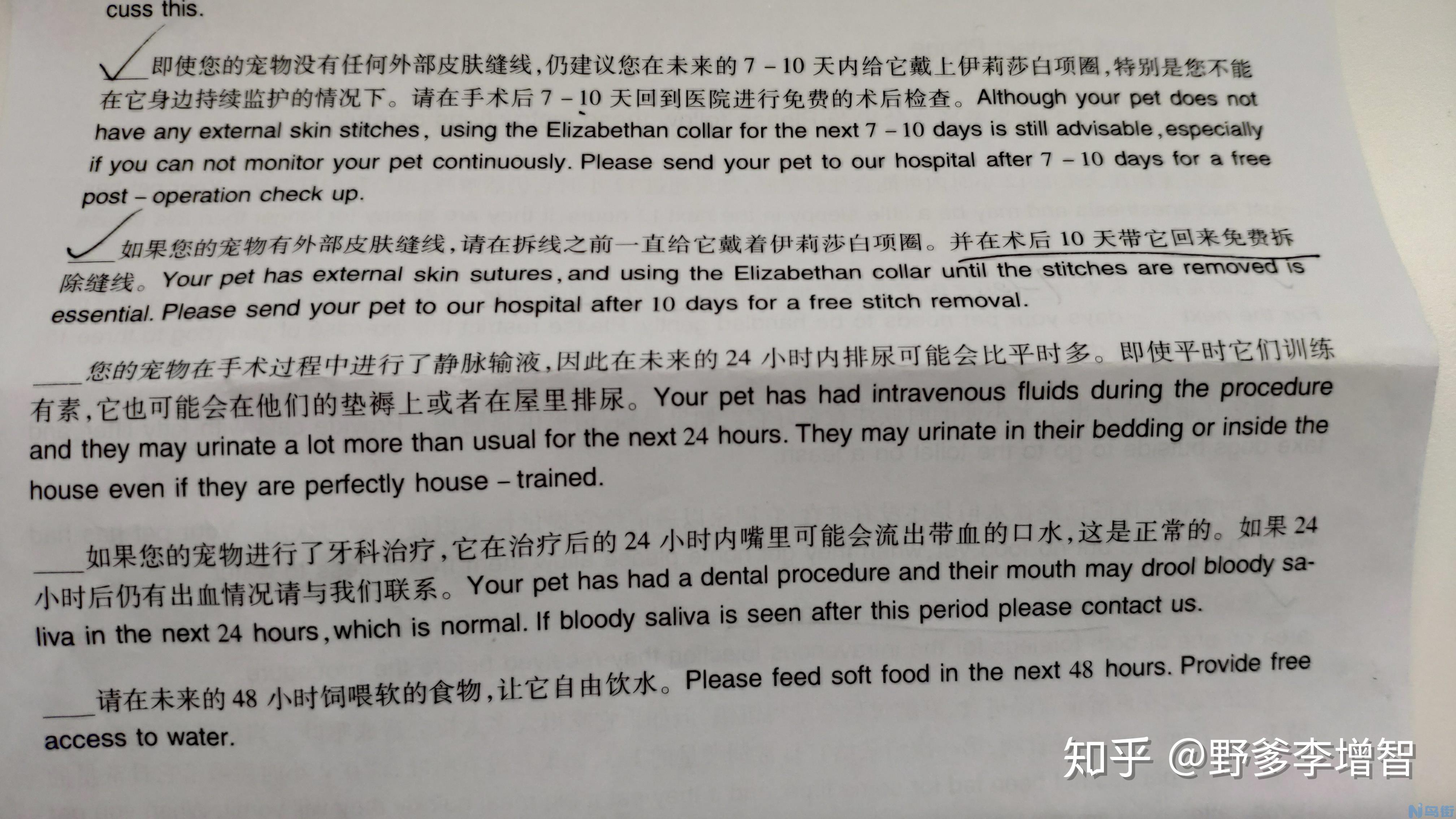 母猫绝育疼多久？