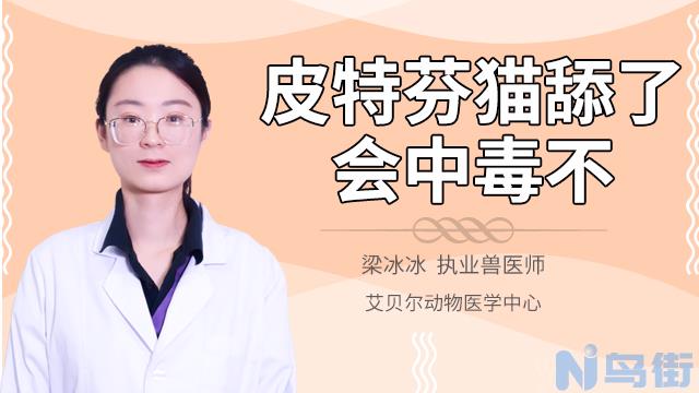 猫咪舔了治癣的药怎么办？