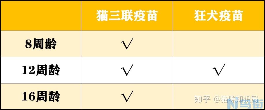 猫咪抗体可以自己检测吗？