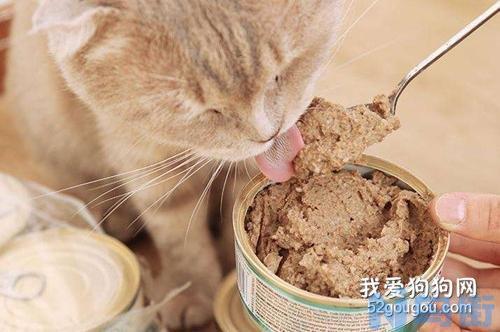 猫腹泻吃什么药？