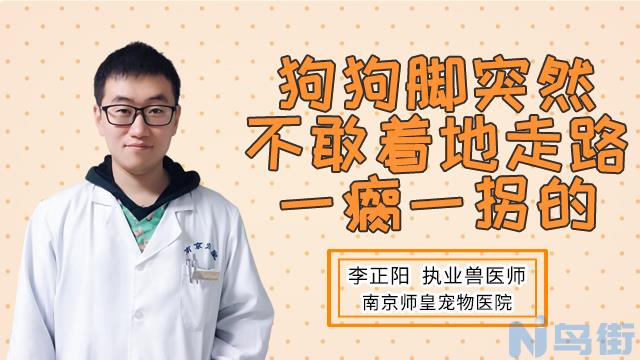 狗狗腿扭伤了怎么办？