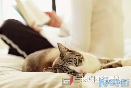 猫体内有弓形虫的症状？