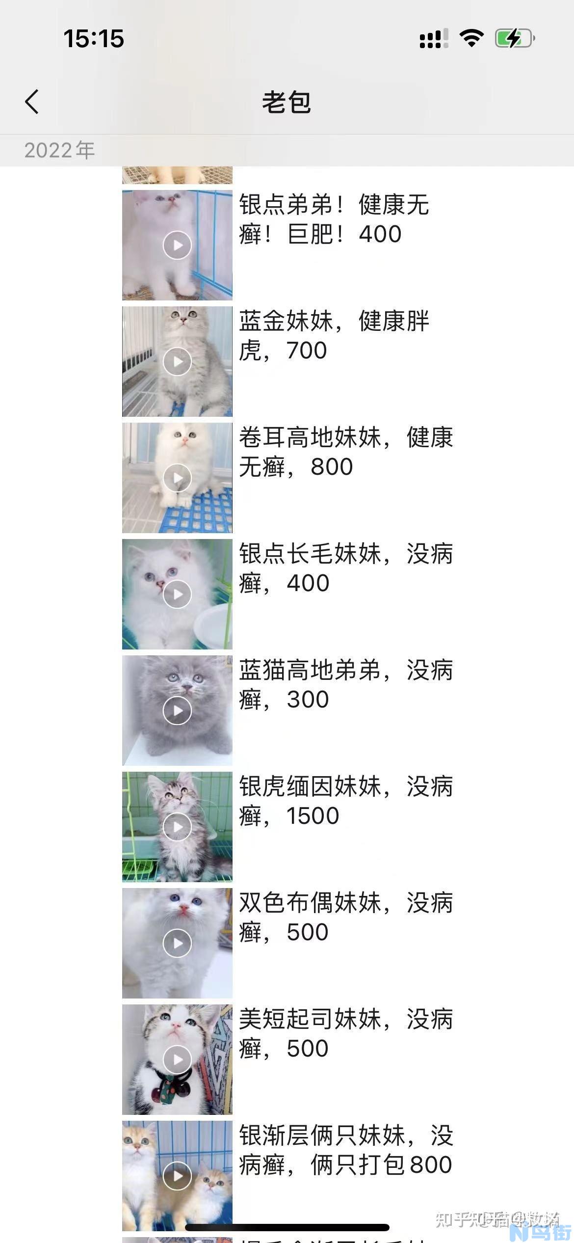 猫咪局部皮肤变黑？