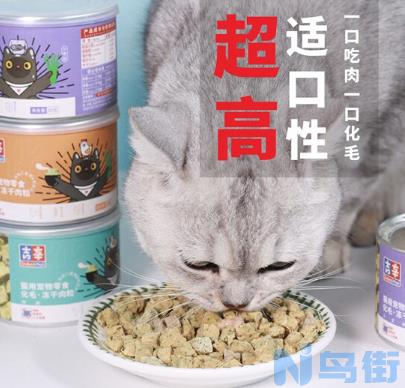 猫的维生素b怎么补充？