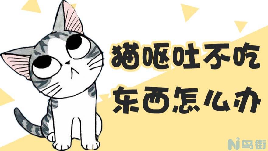 猫咪吐黄水有泡沫是怎么回事？