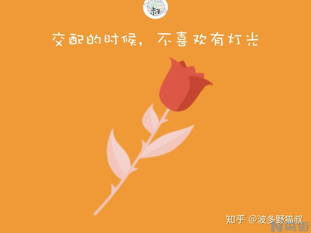 公猫多大可以配？