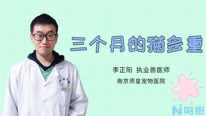 小猫抽搐吐白沫是怎么回事？